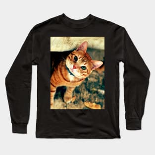 male cat Long Sleeve T-Shirt